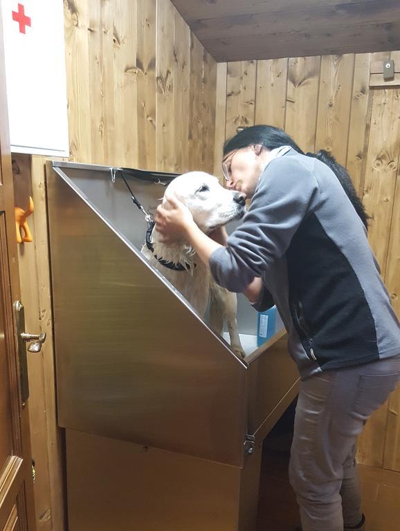 Poo  Casa De Aldea El Sol 빌라 외부 사진